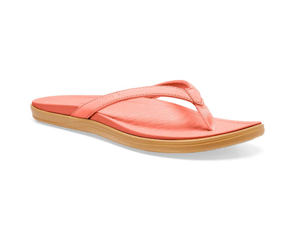 Coral Haze,5