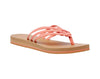 Coral Haze